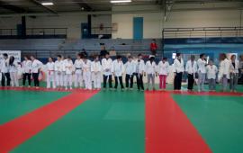 Journée Sport Adapté de Judo à Herblay.